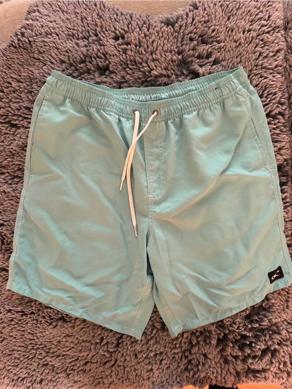 Quicksilver Light Blue(Mint) Men's unlined Swim/Beach Shorts with Drawstring